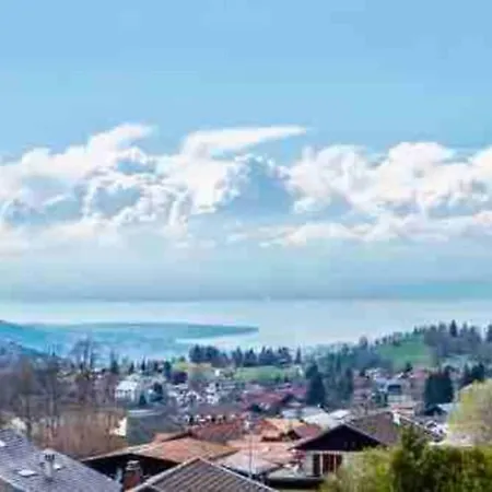 Duplex En Station Vue Sur Lac Leman Thollon-les-Memises Exterior photo