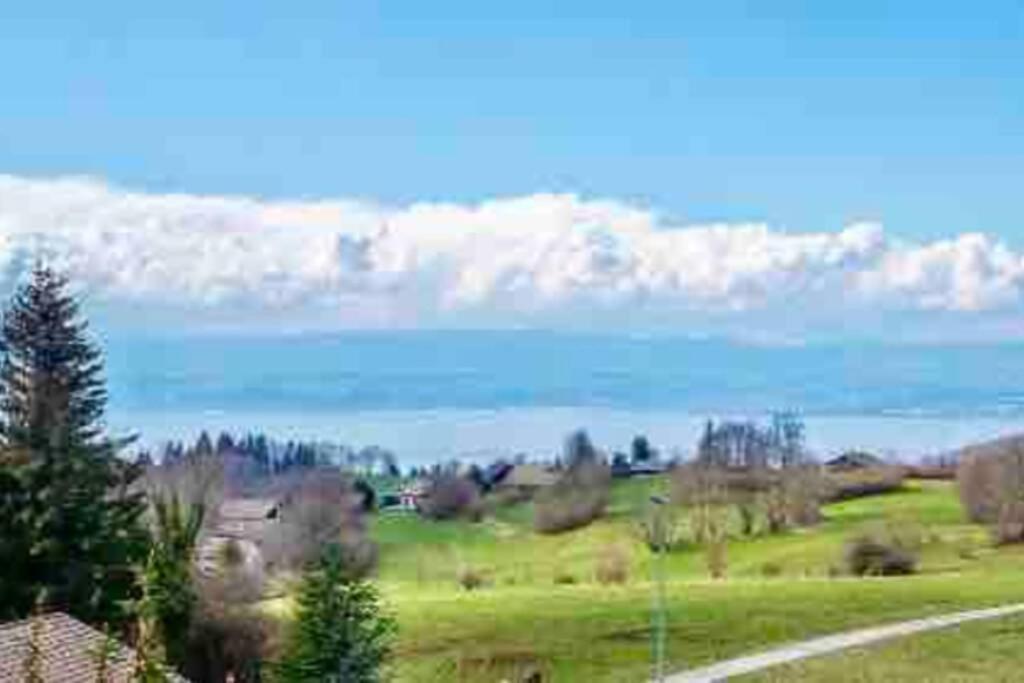 Duplex En Station Vue Sur Leman Apartment *
