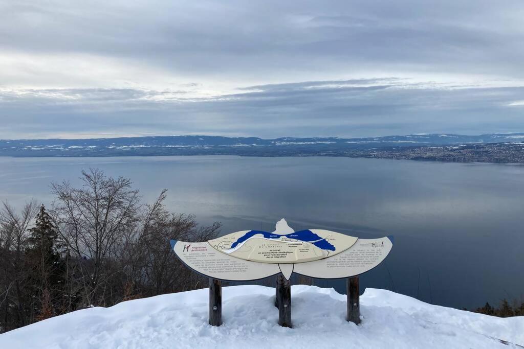 Apartment Duplex En Station Vue Sur Leman Thollon-les-Memises