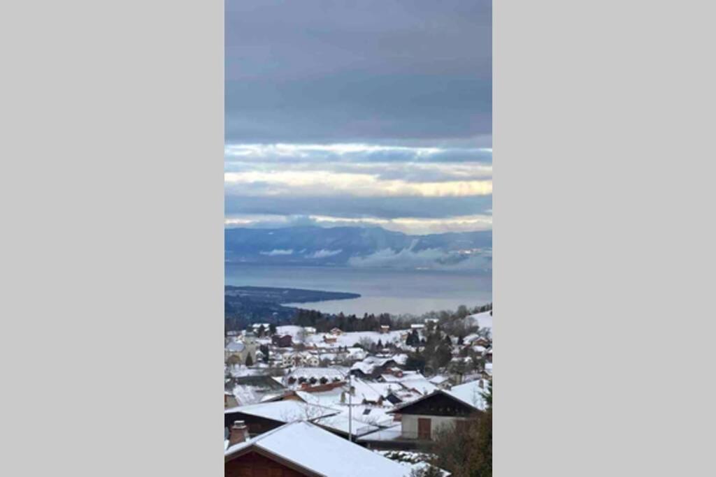 Apartment Duplex En Station Vue Sur Leman