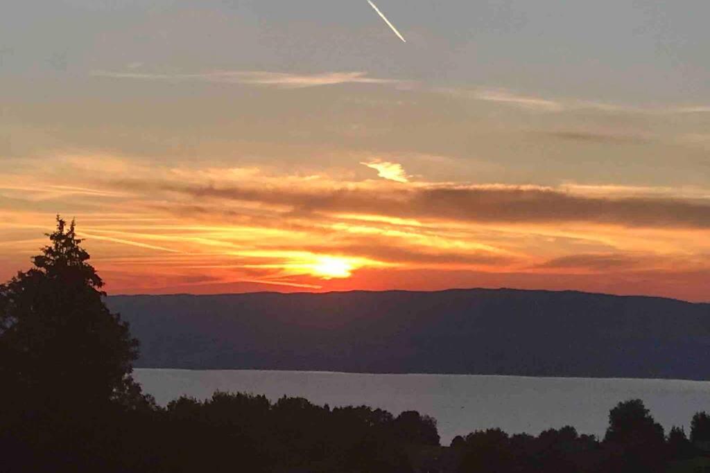 Apartment Duplex En Station Vue Sur Leman Thollon-les-Memises