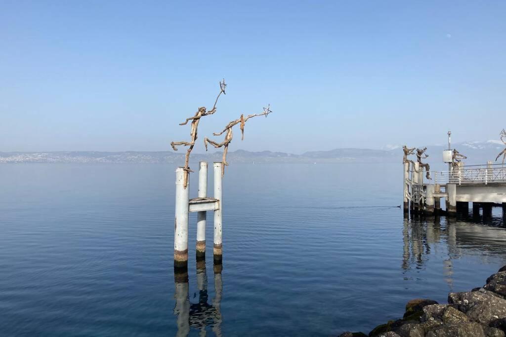 Duplex En Station Vue Sur Leman Apartment