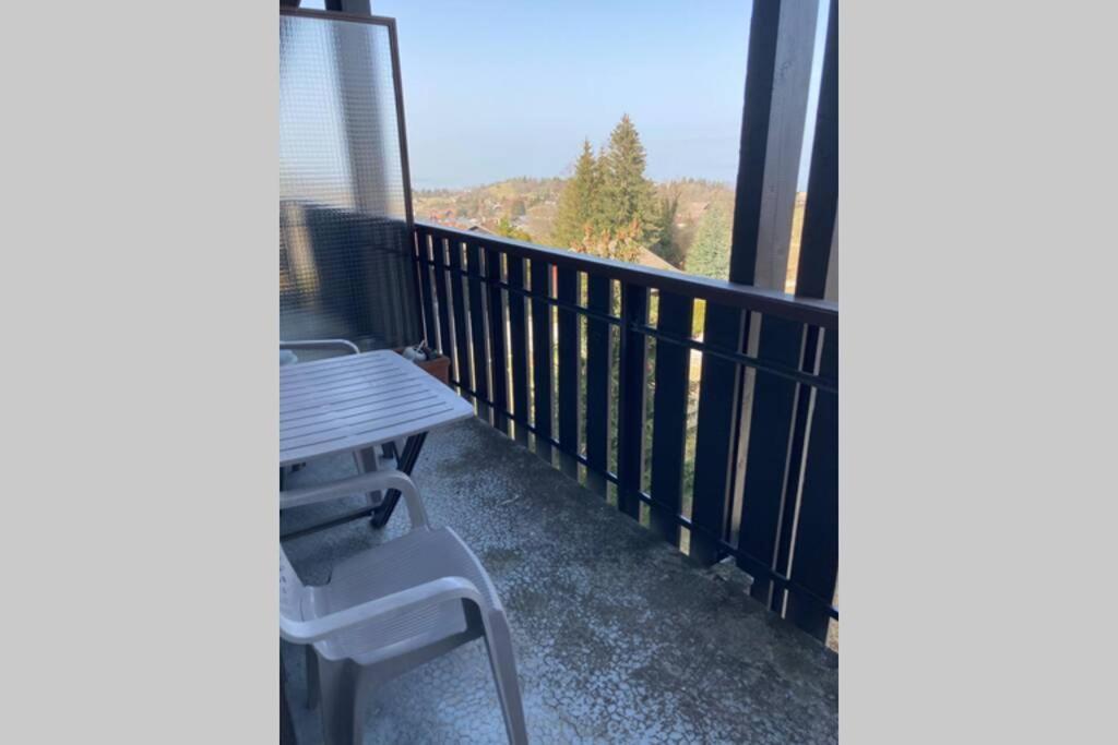 Duplex En Station Vue Sur Leman